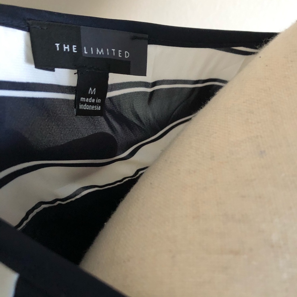 The Limited Stripe Sleeveless Blouse Size M - Picture 5 of 5